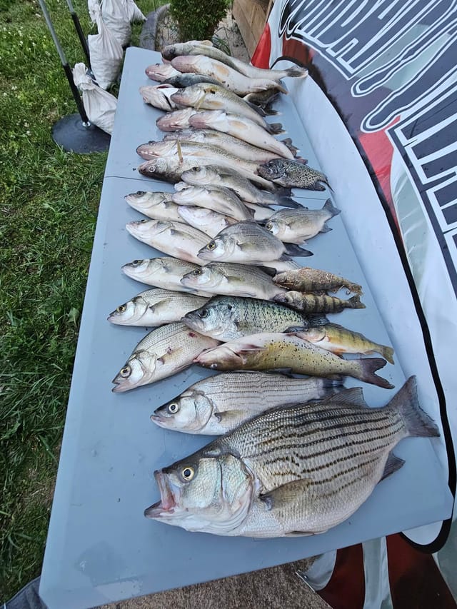 Spring Fishing Trip - June 1, 2024 - Calamus Reservoir