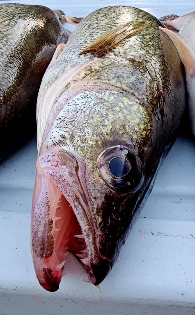 Fishing Trip - May 19, 2023 - Mooseknuckle Lodge