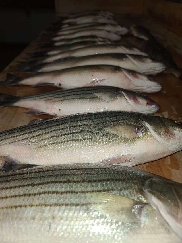 Fishing Trip - August 21, 2021 - Kirwin Reservoir, KS